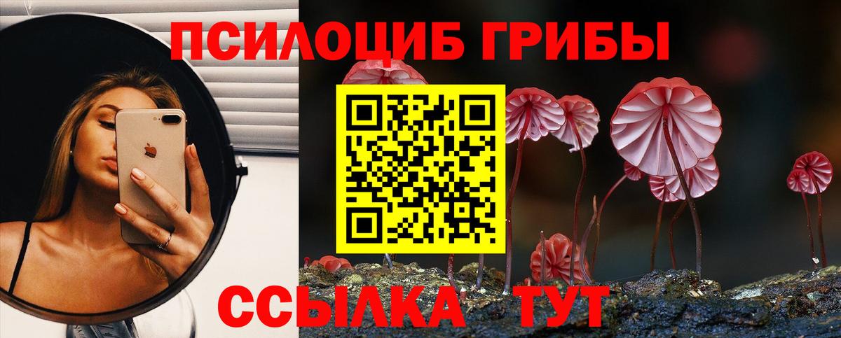 Канабис Ногинск