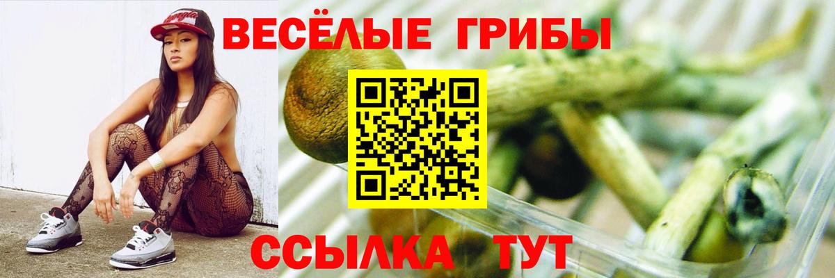 Псилоцибиновые грибы MAGIC MUSHROOMS  Галлюциногенные грибы MAGIC MUSHROOMS  Ногинск  Вход с VPN 